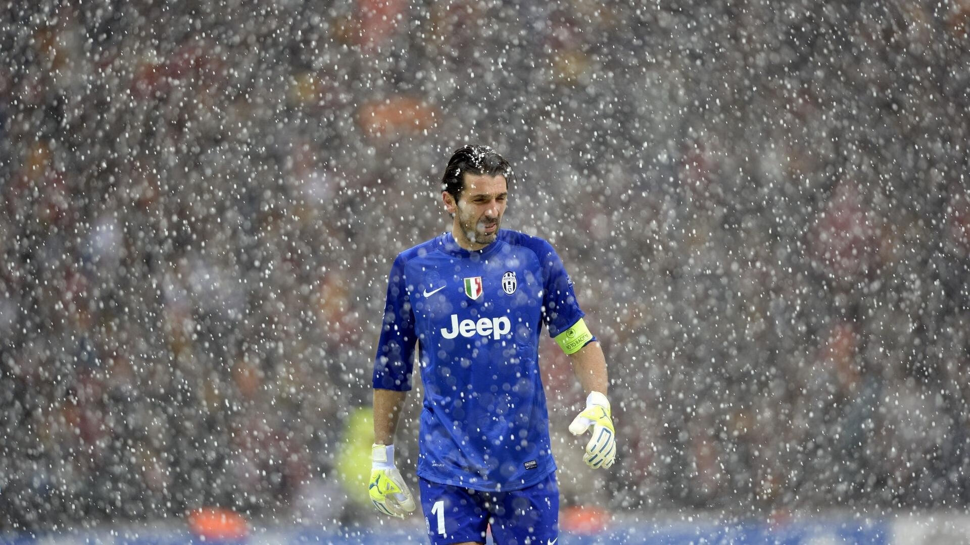 灰熊力克黄蜂，爱德华兹成为关键先生