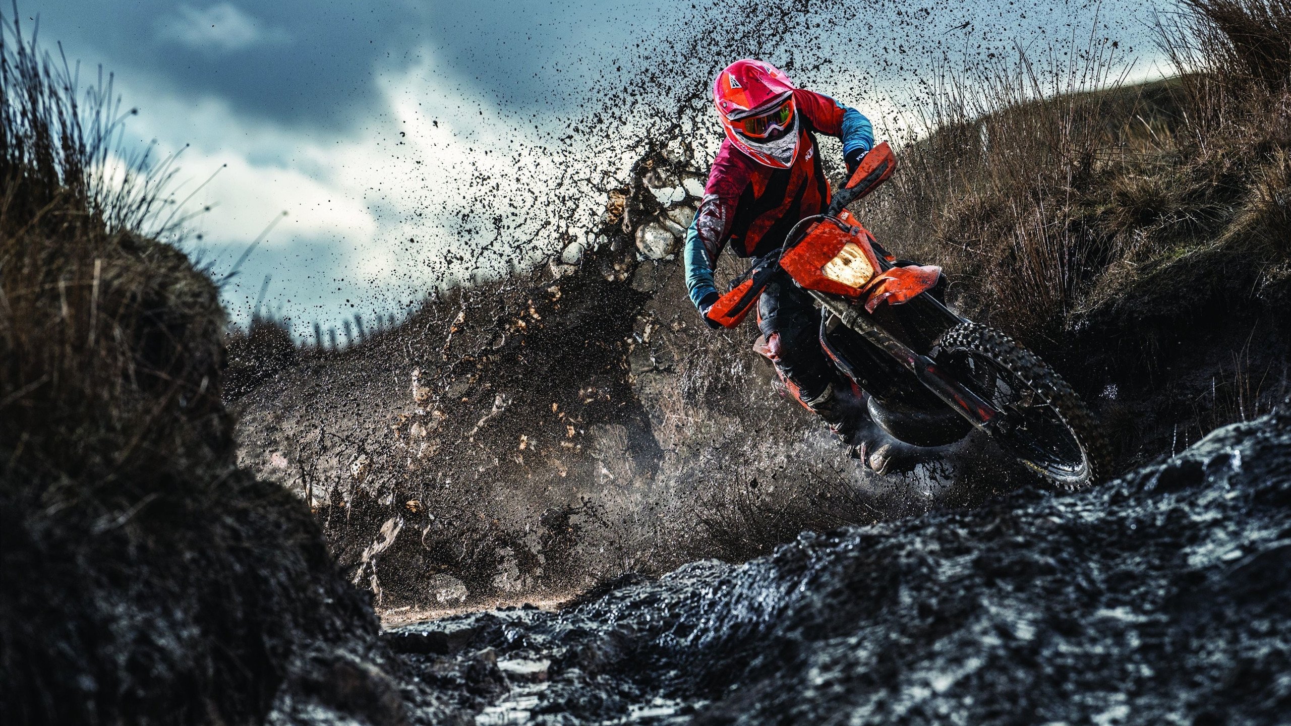 当丹佛的节奏遇见伦敦的雨夜，约基奇式掌控如何诠释欧冠决赛的终极哲学